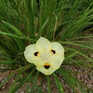 Meet your Posher, Gary